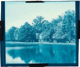 Fotografie: Waldlandschaft in blau