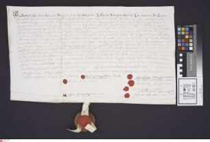 Bensheim: Original-Kaufbrief über den sogenannten Rittigheimer Hof, bestehend in Behausung, Hof, Scheuer und Zubehör, der von den Faktor Faber'sch...