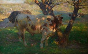 Rinder auf sonniger Weide