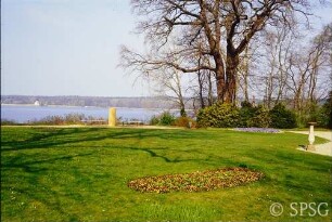 Berlin, Pfaueninsel, Umpflanzung Linde.