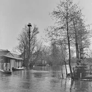 Spreewald um 1940. Überflutete Wiesen und Felder. : Błóta wokoło 1940. Přepławjene łuki a pola.