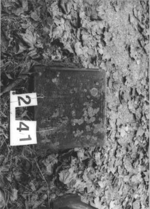 Kindergrab 2/41