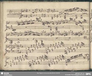 Moderato