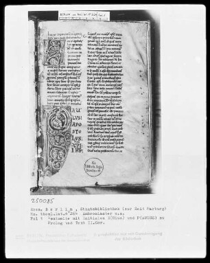 Ambrosius, Commentarii in epistulas Pauli und anderes — Initiale P (aulus Apostolus), darin diverse Köpfe, Folio 1recto