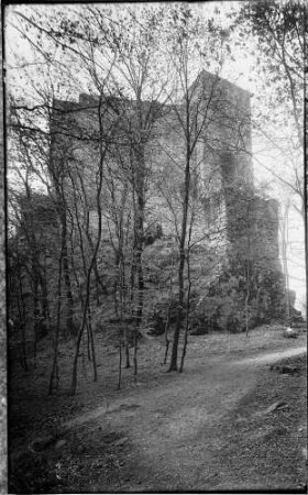 Baden-Baden Altes Schloss - Schloss Hohenbaden Außenansicht von Norden