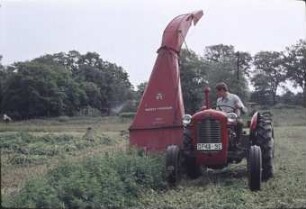 Schlegelfeldhäcksler Massey Ferguson; Vorderansicht; Mähzetten von Luzerne ;
