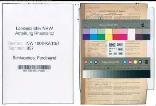 Entnazifizierung Ferdinand Schluenkes , geb. 01.10.1906 (Schmied)