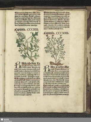 [Capitula. CCCXXI - CCCXXX]