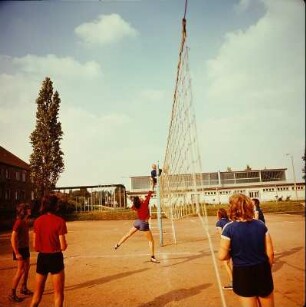 Sport, Volleyball-Mannschaft