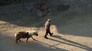 Arbeit macht das Leben süß, Faulheit stärkt die Glieder
