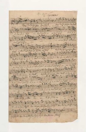 Soprano