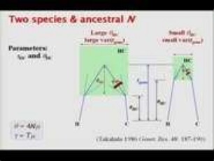 Species delimitation using genomic sequence data