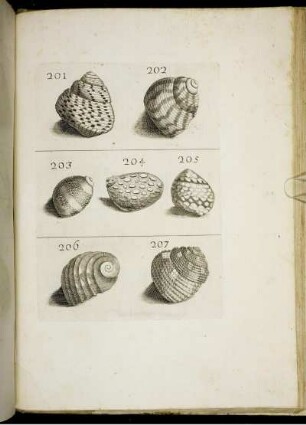 201 [bis] 319