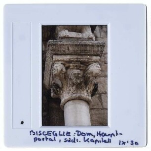 Bisceglie, Dom San Pietro Apostoli : Detail südliches Kapitell Hauptportal