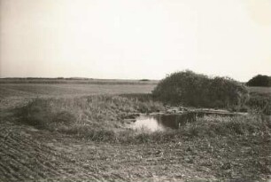 Söll bei Großziethen