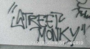 "STREET MONKY"