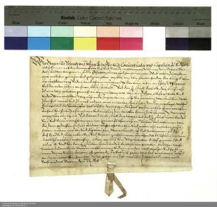 Gregor Volradt und Johann Scheffer, Konventualen zu Michaelsberg, verleihen einen Wiesflecken hinter der Burg
