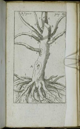2. figure.
