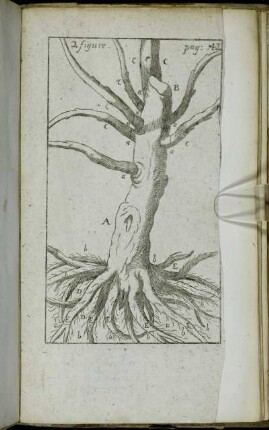 2. figure.