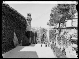 Palma de Mallorca, Calle della Seo
