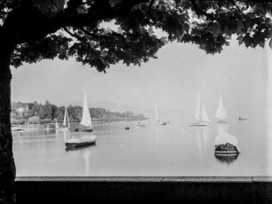 Segelboote : Segelboote im Hafen von Ouchy