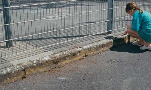 Im Stillen erwachen