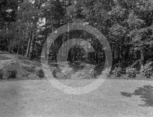 Park Lappier