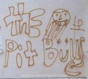 the Pit BüllS
