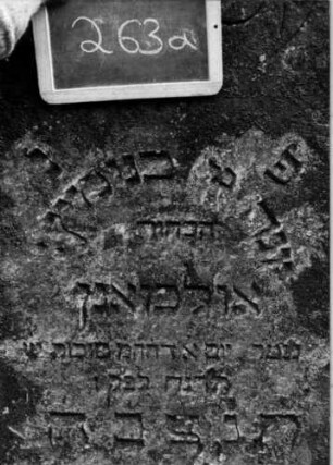 Grabstein 263 [Nir S. 183 Nr. 16.25]: Grabstein 263 (Detailaufnahme 1) [Nir S. 183 Nr. 16.25]
