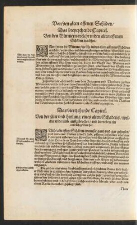Das viertzehende Capitel.