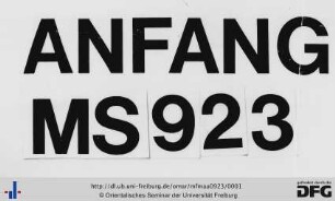 MF Mau 923