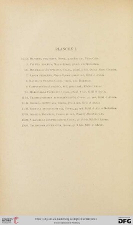 Planche I-III