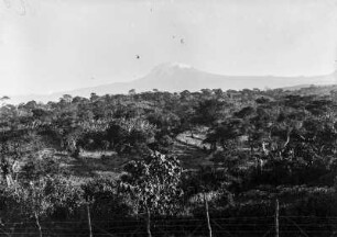 Baumsteppe und Kibo : Die Baumsteppe im Gebiet des Kilimandscharo. Im Hintergrund erhebt sich der Kibo