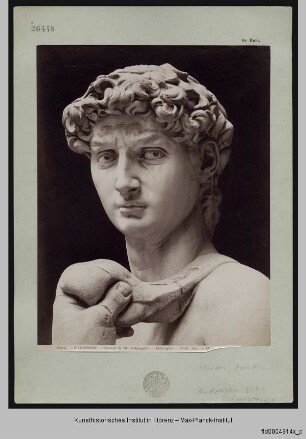 David