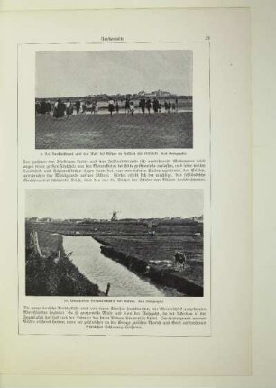 10. Unbedeichte Vorlandsmarsch bei Husum