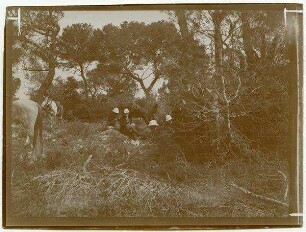 Mittagsrast im Wald bei beth-mahsir