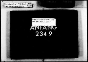 Bekleidung von Nebenämtern und Besorgung von Nebengeschäften durch Beamte