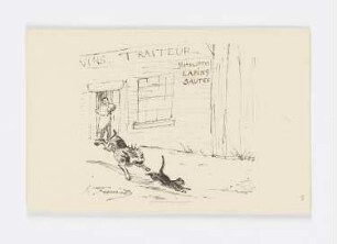 Hund jagt eine Katze