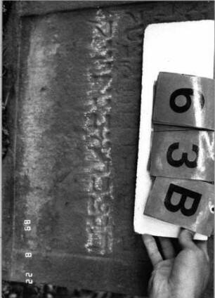 Grabstein 63 (Index: 99798202) Material: Sandstein, rot Zustand: stark verwittert Maße HxBxT: 87x56x13 cm Beschreibung: Stele, geschweifter Abschluß Symbolik: Palmblatt: Grabstein 63B (Detailaufnahme 2)