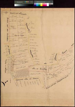 II. Rein-Karte von der Heide der Bauerngemeinde zu Pausin (2 Teile)