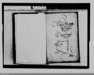 . Auseinandersetzungen zwischen dem Kurfürstentum Trier und der Grafschaft Nassau-Katzenelnbogen: Band 3