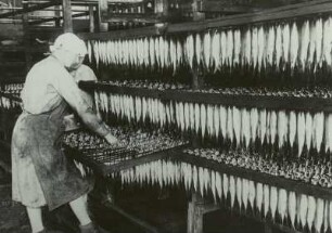Technikgeschichte | Agrar- und Lebensmitteltechnik | Fischwirtschaft | Hochseefischerei