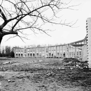Stormarnschule: Gymnasium: Waldstraße: Erweiterungsbau: bogenförmiger Klassentrakt: vorne links Baum