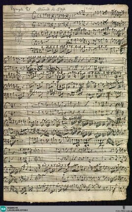 Concertino - Mus. Hs. 597 : fl (2), cor (2), b; D; BrinzingMWV 8.14