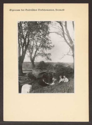 Brücke im Johannettentaler Kuhkamp / im Vordergrund zwei Jungen im Matrosenanzug / im Hintergrund die Bahnlinie. Detmold. Kernstadt. Papierabzug