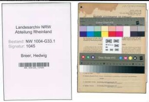 Entnazifizierung Hedwig Breer , geb. 02.07.1897 (Lehrerin)
