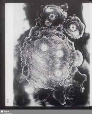 Tropfenfall/Terpentin (aus Versuchsreihe)