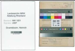 Entnazifizierung Heinrich Grueneboom, geb. 17.05.1891 (Maurer)