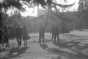 Botanischer Garten. Vorfrühlingstag