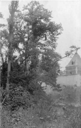 Bäume; eine Kirchturmspitze ragt hinter einer Mauer hervor "Zum Andenken an den Weltkrieg von deinem Bruder Philipp (14/15/16.)"